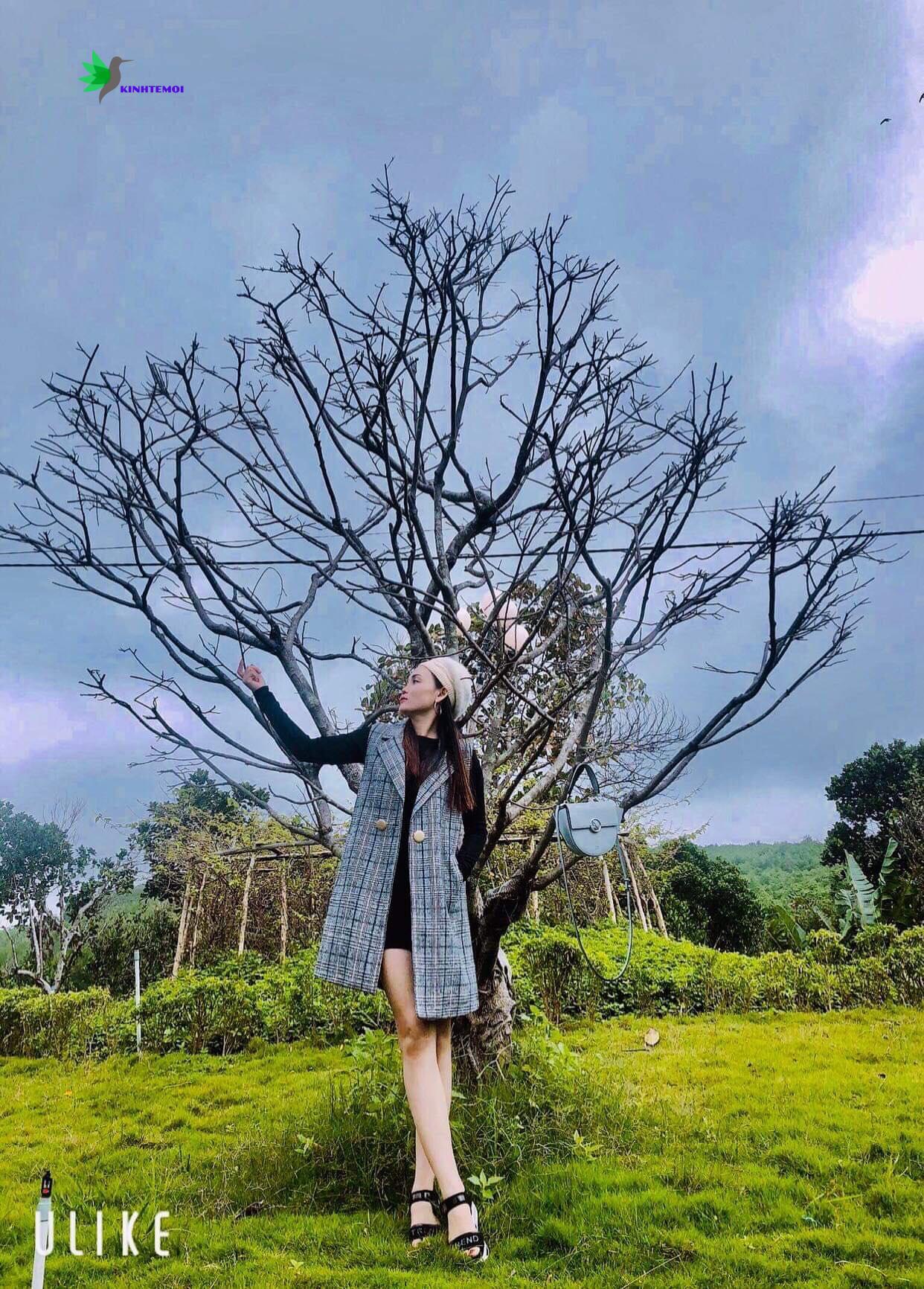 Để khách hàng tin tưởng cô phải dùng hết cái TÂM và cái TÌNH của chính mình.