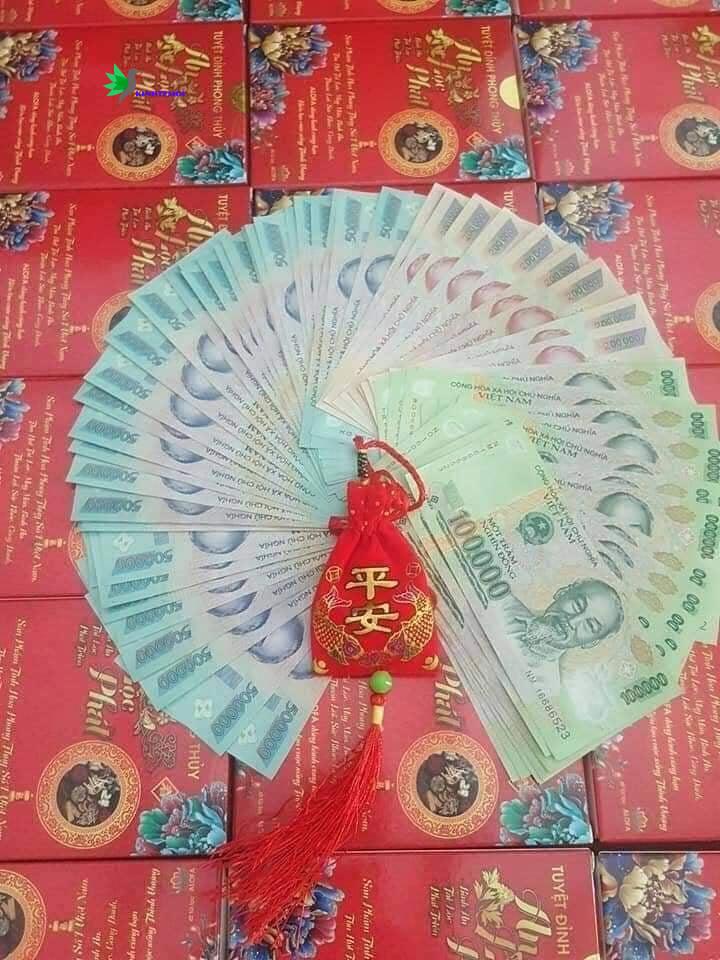 Nhờ Alofa - Tuyết đã có thể tự chủ tài chính