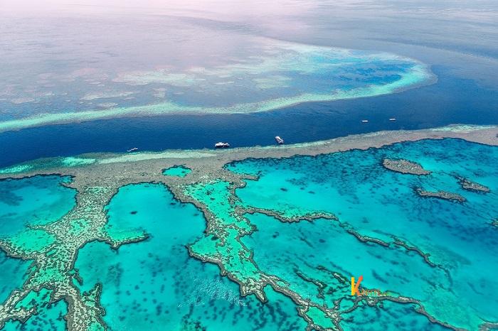 Vịnh san hô Great Barrier Reef (nguồn: Daily Sabah)